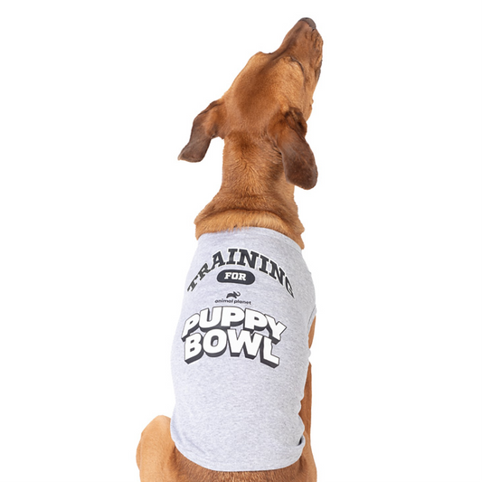 Animal Planet’s Puppy Bowl Training Dog Shirt